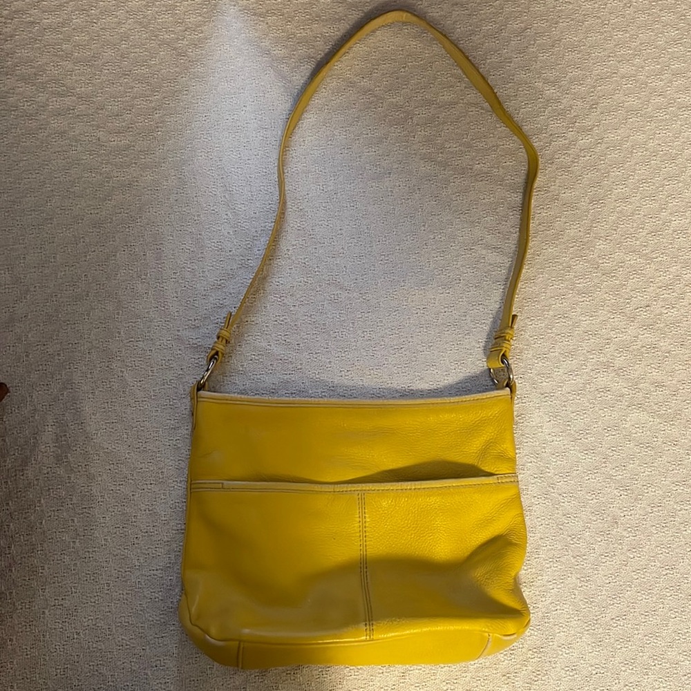 The Sak purse